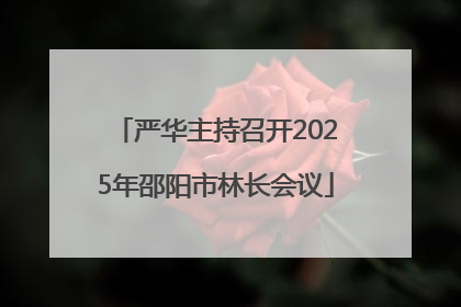 严华主持召开2025年邵阳市林长会议