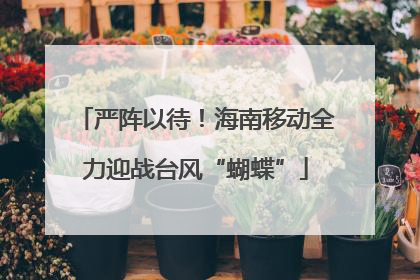 严阵以待！海南移动全力迎战台风“蝴蝶”