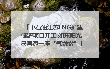 中石油江苏LNG扩建储罐项目开工 如东阳光岛再添一座“气墩墩”
