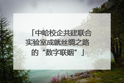 中哈校企共建联合实验室成就丝绸之路的“数字联姻”
