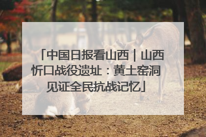 中国日报看山西｜山西忻口战役遗址：黄土窑洞见证全民抗战记忆