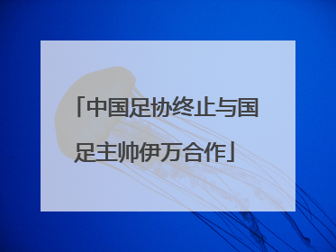 中国足协终止与国足主帅伊万合作