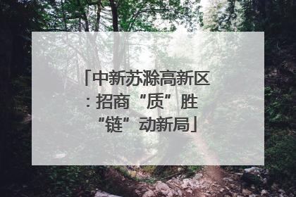 中新苏滁高新区：招商“质”胜 “链”动新局