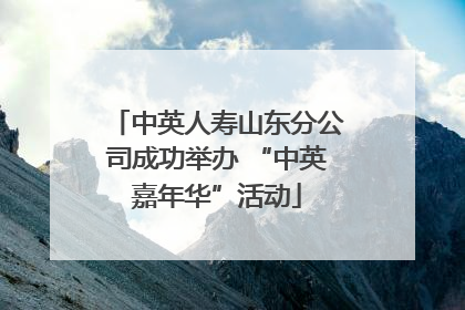 中英人寿山东分公司成功举办 “中英嘉年华”活动