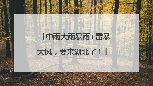 中雨大雨暴雨+雷暴大风，要来湖北了！
