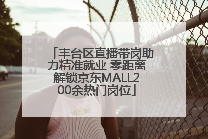 丰台区直播带岗助力精准就业 零距离解锁京东MALL200余热门岗位