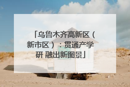 乌鲁木齐高新区（新市区）：贯通产学研 融出新图景