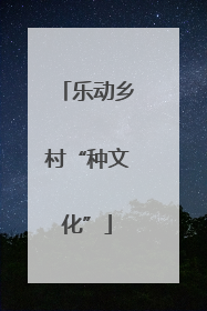 乐动乡村“种文化”