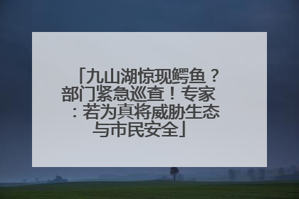 九山湖惊现鳄鱼？部门紧急巡查！专家：若为真将威胁生态与市民安全