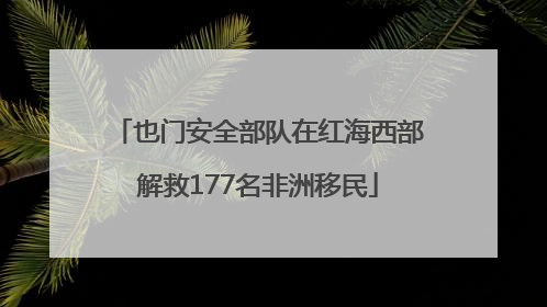 也门安全部队在红海西部解救177名非洲移民