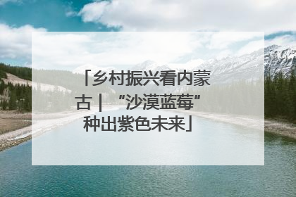 乡村振兴看内蒙古｜“沙漠蓝莓”种出紫色未来