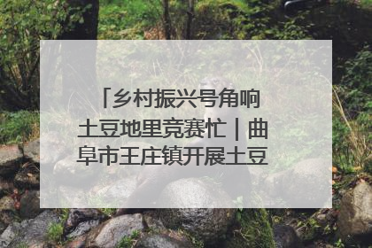 乡村振兴号角响 土豆地里竞赛忙｜曲阜市王庄镇开展土豆收获劳动竞赛