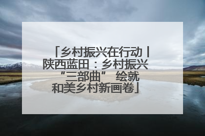 乡村振兴在行动丨陕西蓝田：乡村振兴 “三部曲” 绘就和美乡村新画卷