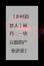 乡村追梦人｜林丹：一块豆腐的产业逆袭