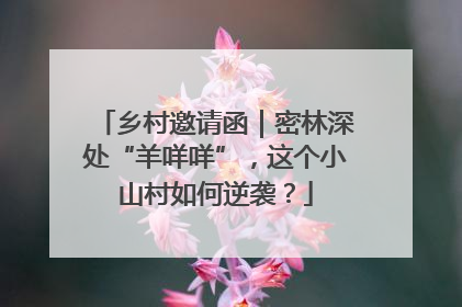 乡村邀请函｜密林深处“羊咩咩”，这个小山村如何逆袭？