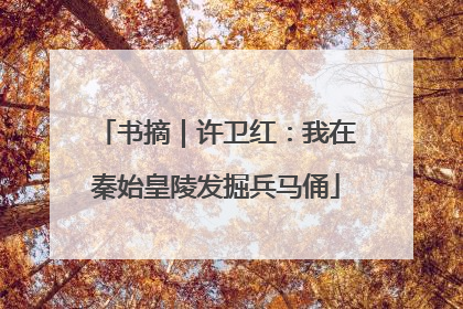 书摘｜许卫红：我在秦始皇陵发掘兵马俑