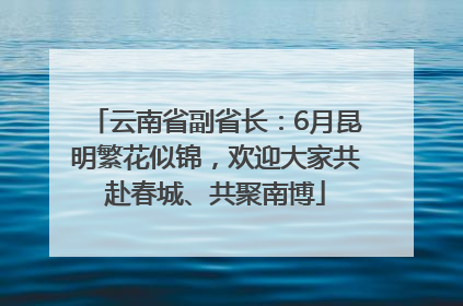 云南省副省长：6月昆明繁花似锦，欢迎大家共赴春城、共聚南博