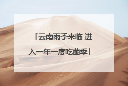 云南雨季来临 进入一年一度吃菌季
