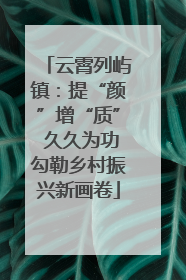 云霄列屿镇：提“颜”增“质” 久久为功勾勒乡村振兴新画卷