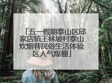 五一假期泰山区邱家店镇王林坡村泰山炊烟巷民俗生活体验区人气爆棚