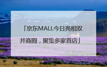 京东MALL今日亮相双井商圈，聚集多家首店