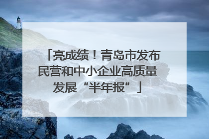 亮成绩！青岛市发布民营和中小企业高质量发展“半年报”