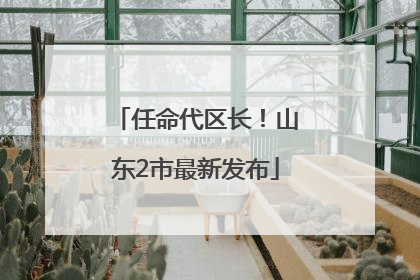 任命代区长！山东2市最新发布