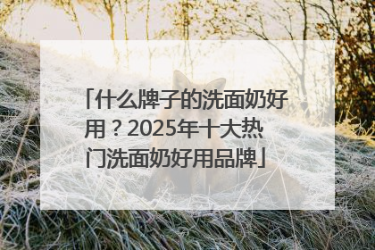 什么牌子的洗面奶好用？2025年十大热门洗面奶好用品牌