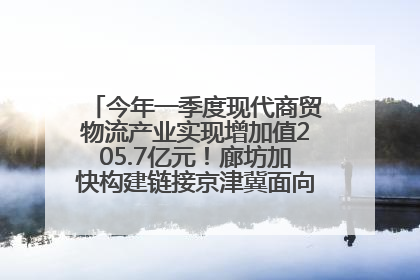 今年一季度现代商贸物流产业实现增加值205.7亿元！廊坊加快构建链接京津冀面向全世界的物流通道