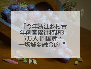 今年浙江乡村青年创客累计将超35万人 周国辉：一场城乡融合的“双向奔赴”