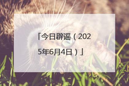 今日辟谣（2025年6月4日）