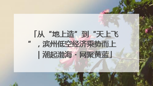 从“地上造”到“天上飞”，滨州低空经济乘势而上｜潮起渤海・网聚黄蓝