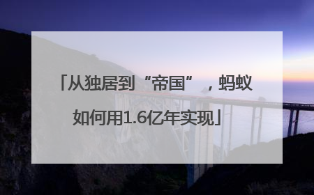 从独居到“帝国”，蚂蚁如何用1.6亿年实现