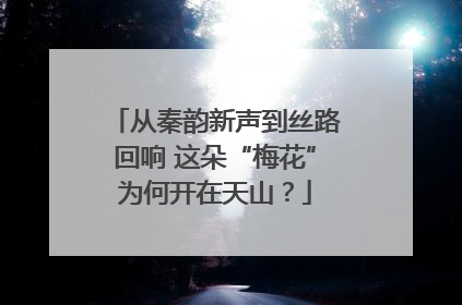 从秦韵新声到丝路回响 这朵“梅花”为何开在天山？