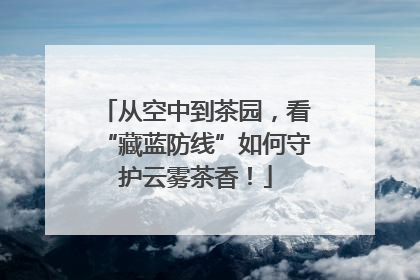 从空中到茶园，看“藏蓝防线”如何守护云雾茶香！