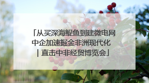 从买深海鳀鱼到建微电网 中企加速掘金非洲现代化｜直击中非经贸博览会