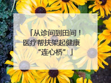 从诊间到田间！医疗帮扶架起健康“连心桥”