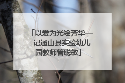 以爱为光绘芳华——记通山县实验幼儿园教师管聪敏