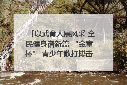 以武育人展风采 全民健身谱新篇 “金童杯” 青少年散打搏击邀请赛圆满落幕
