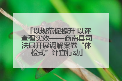 以规范促提升 以评查强实效——商南县司法局开展调解案卷“体检式”评查行动