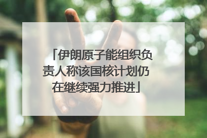 伊朗原子能组织负责人称该国核计划仍在继续强力推进