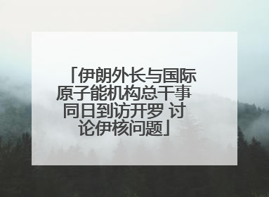 伊朗外长与国际原子能机构总干事同日到访开罗 讨论伊核问题