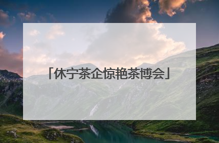 休宁茶企惊艳茶博会