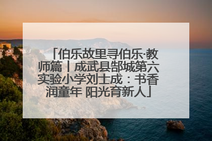 伯乐故里寻伯乐·教师篇丨成武县郜城第六实验小学刘士成：书香润童年 阳光育新人