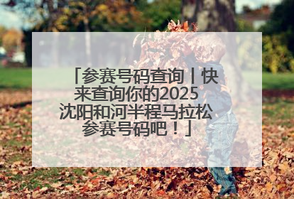 参赛号码查询丨快来查询你的2025沈阳和河半程马拉松参赛号码吧！