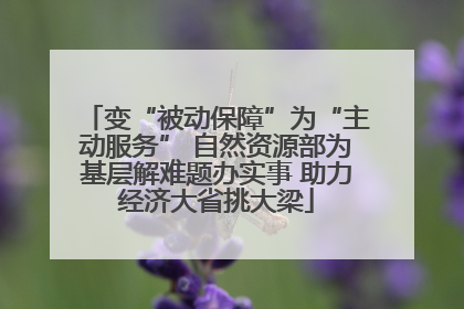 变“被动保障”为“主动服务” 自然资源部为基层解难题办实事 助力经济大省挑大梁