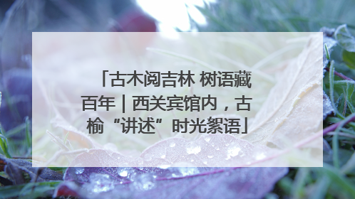 古木阅吉林 树语藏百年｜西关宾馆内，古榆“讲述”时光絮语