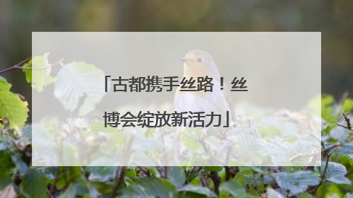 古都携手丝路！丝博会绽放新活力