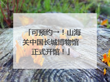 可预约→！山海关中国长城博物馆正式开馆！