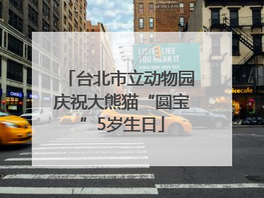 台北市立动物园庆祝大熊猫“圆宝”5岁生日